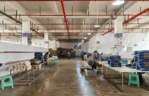 绥阳苗族药枕借力互联网，线上销售火爆